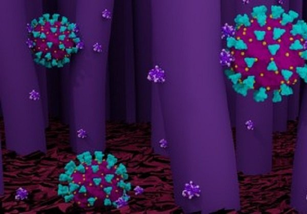 Fiocruz detecta variantes do coronavírus em três regiões do Brasil