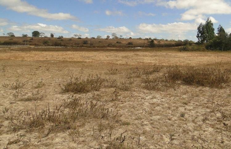 Municípios do Sudoeste baiano entram em emergência devido à estiagem