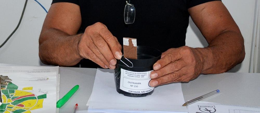 Feira participa de pesquisa de monitoramento do Aedes aegypti