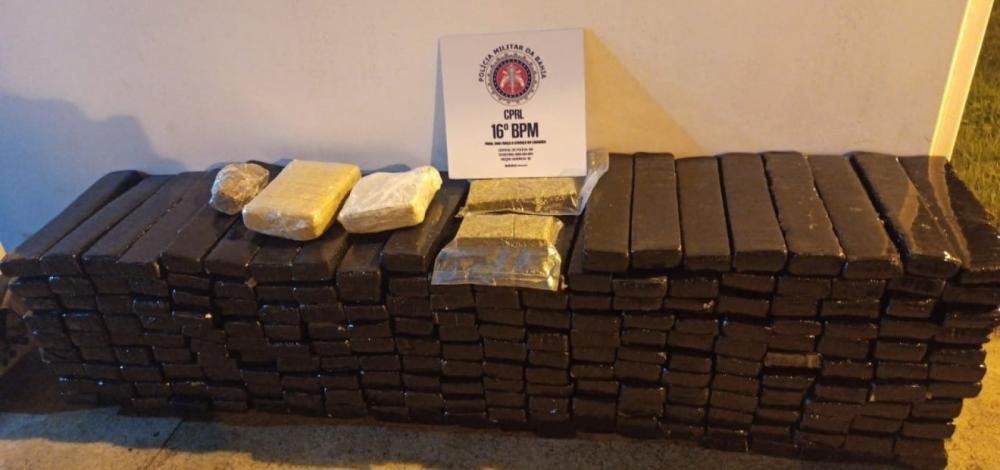 Polícia apreende 305 kg de maconha na BR-116