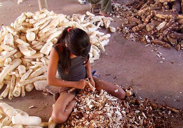 Foto: Divulgação/Ministério do Trabalho