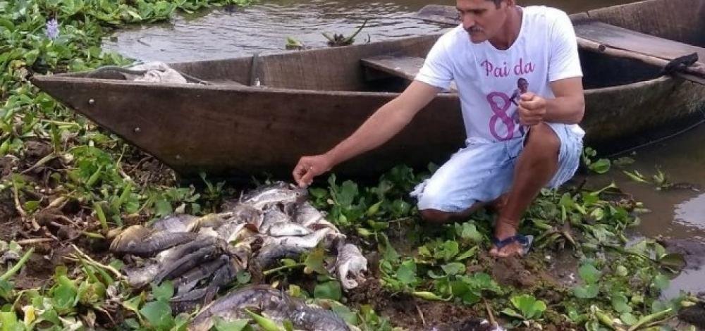 Feira de Santana: técnicos analisam causas da morte de peixes no Rio Jacuípe