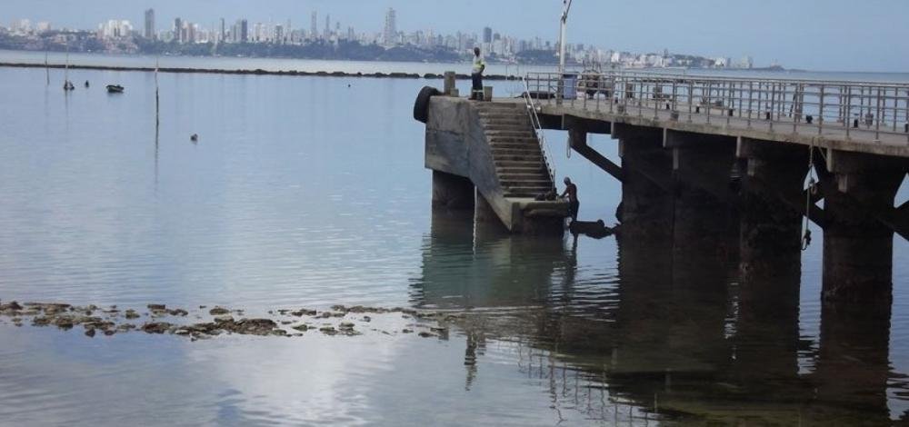 ONG denuncia suposto crime ambiental em Mar Grande