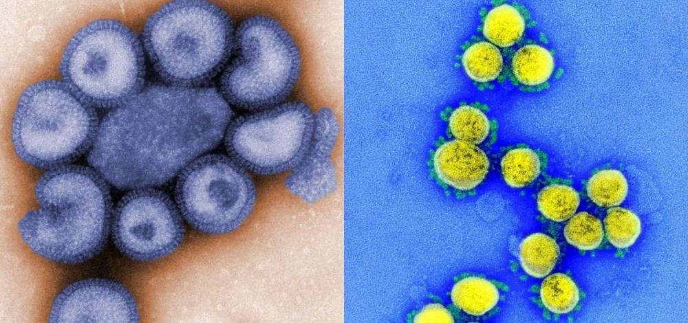 Sesab confirma oito casos de ‘flurona’ em pacientes de Salvador, Feira de Santana e Camaçari