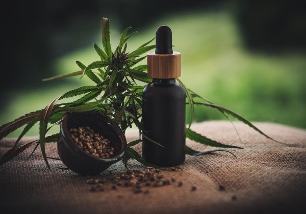 Anvisa aprova três produtos à base de cannabis no Brasil