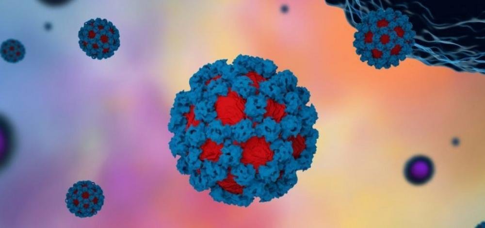 Análises apontam aumento de casos de norovírus em Salvador