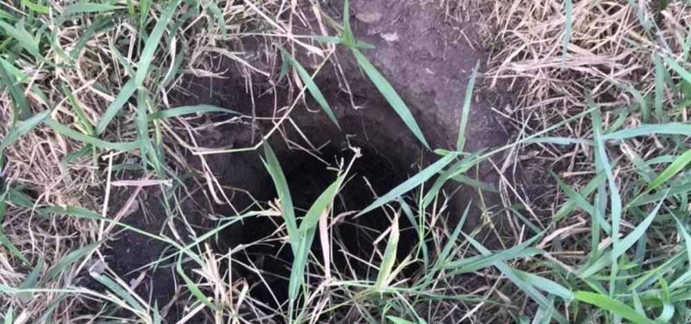 Bebê é encontrado vivo depois de passar dois dias dentro de buraco na Bahia