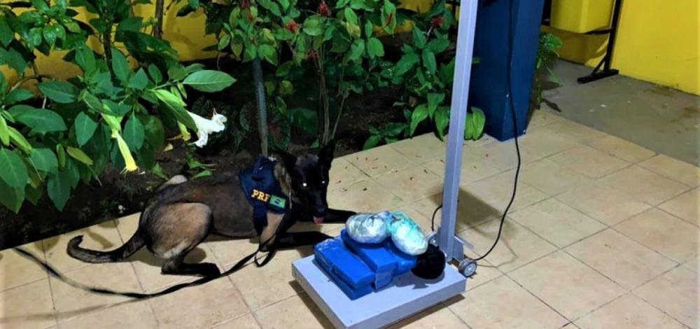 PRF apreende drogas em bagagem de passageiro de ônibus em Feira de Santana