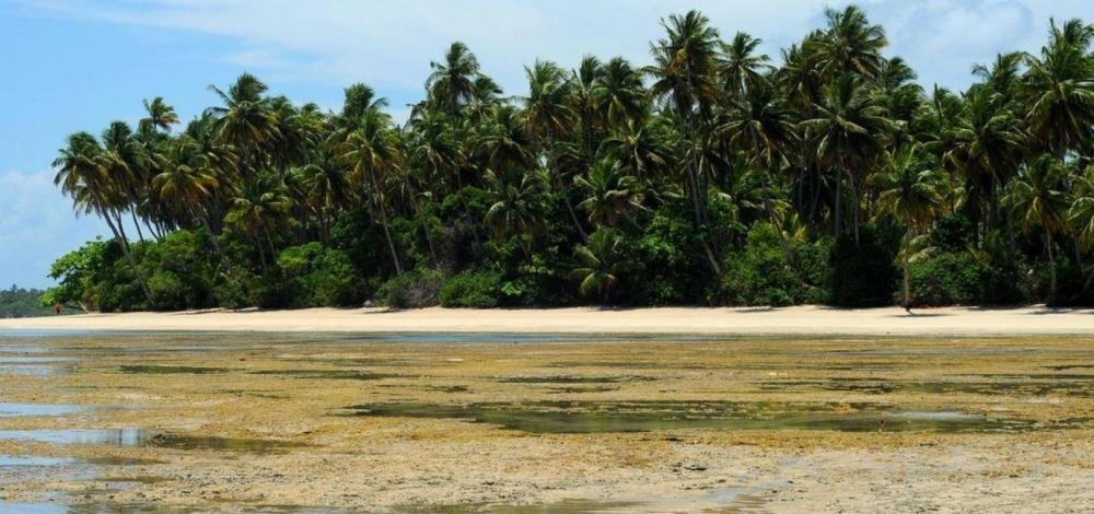 MPF solicita que seja revogada autorização para construção de resort de luxo em Boipeba