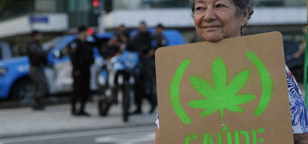 Governo federal quer regular plantio de Cannabis no Brasil para fins medicinais