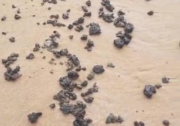 Novas manchas de óleo são encontradas nas praias da capital baiana