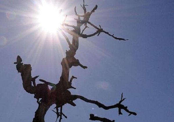 Três cidades do oeste baiano registraram temperaturas acima dos 40°C