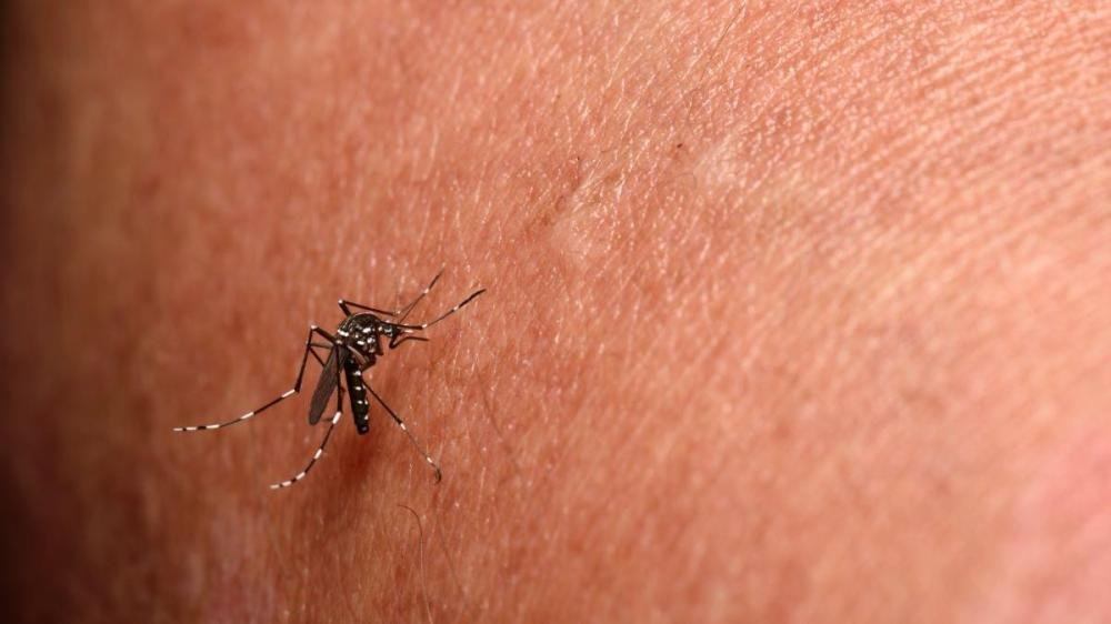 Bahia confirma duas mortes por chikungunya