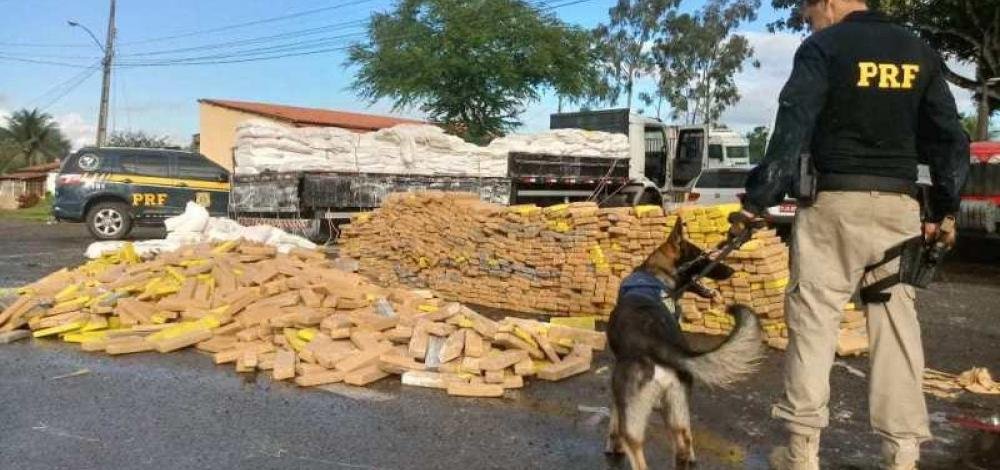 Bahia teve mais de seis toneladas de maconha apreendidas nas rodovias federais no primeiro semestre