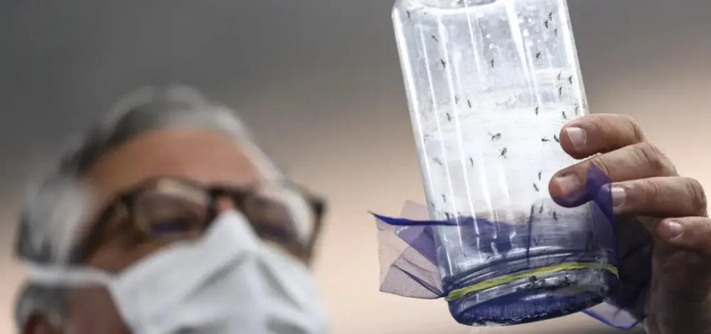 Casos de dengue caem 86% na Bahia em 2025