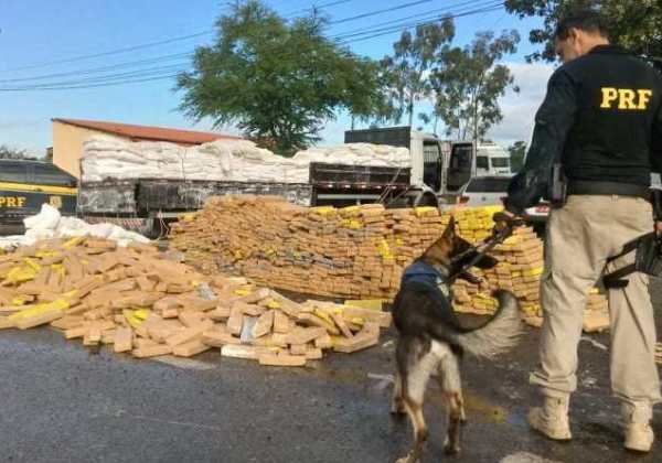PRF apreende 6,5t de drogas neste primeiro semestre; 10 vezes mais do que em 2018