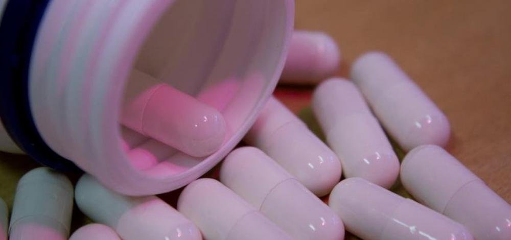 Pesquisadores da Bahia testam novo tratamento contra leishmaniose