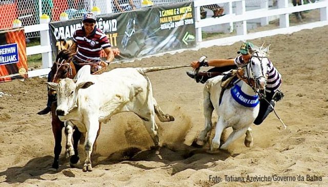 Plenário da Câmara aprova projeto que regulamenta a vaquejada