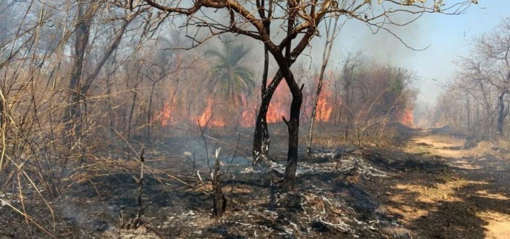 Governo autoriza contratação de brigadistas temporários para combater incêndios
