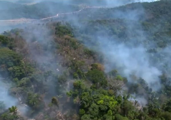 Amazônia: governo libera R$ 38,5 milhões para combate a queimadas