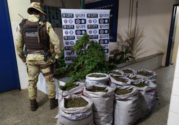 Ação da polícia Civil e Militar apreende mais de 1,7 tonelada de maconha na Bahia