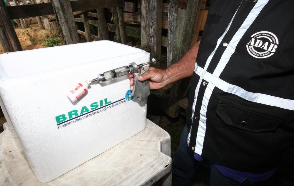 Bahia inicia 1ª etapa da vacinação contra a Febre Aftosa em 2019