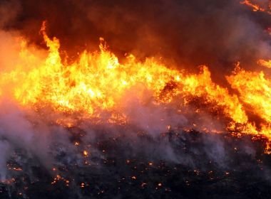 Até agosto, Brasil tem maior número de incêndios desde 2010