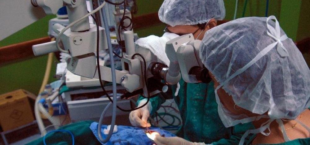 Número de transplantes cresce 13% no primeiro semestre