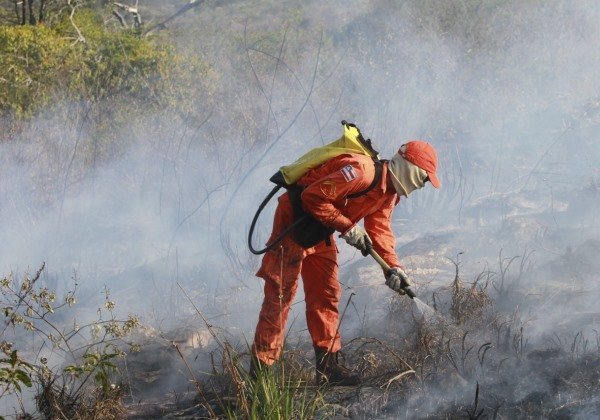 Governo anuncia investimento de R$ 6,7 mi em ações contra incêndios florestais
