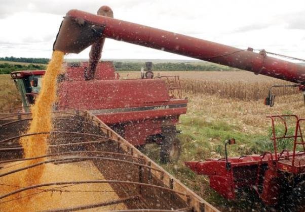 Governo autoriza pagamento do Garantia-Safra para 4 municípios baianos