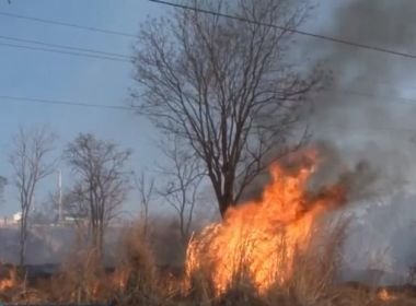 N° de queimadas aumenta quase 60% na Bahia em relação a mesmo período de 2018