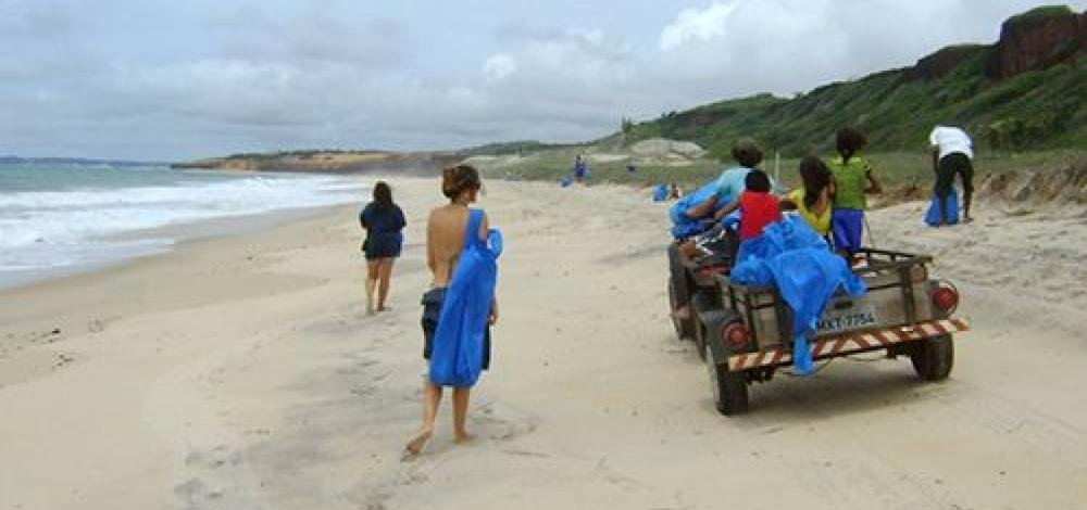 Projetos fazem mutirão de limpeza nas praias do Forte e de Corumbau