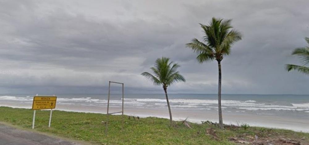 Mais de 110 tartarugas já foram encontradas mortas no sul da Bahia em 2019