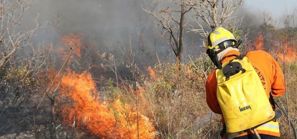 Brasil registra aumento de 26% nas queimadas em setembro