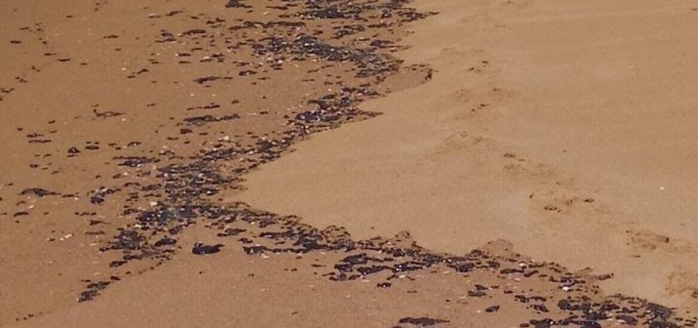 Bahia já tem seis cidades atingidas por manchas de óleo