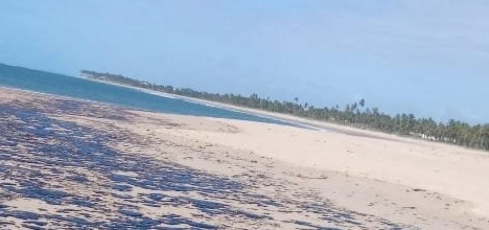 Óleo chega à praia de Arembepe, informa Marinha