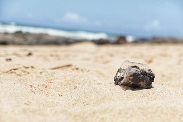 Prefeitura orienta população a evitar banho em praias atingidas por óleo