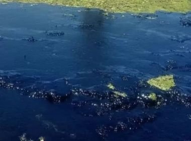 Óleo chega à Bahia de Todos-os-Santos; Paraguaçu e Subaé podem ser atingidos