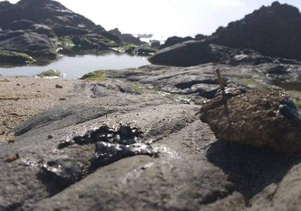 Limpeza de praias atingidas por óleo no Nordeste depende da ajuda de voluntários