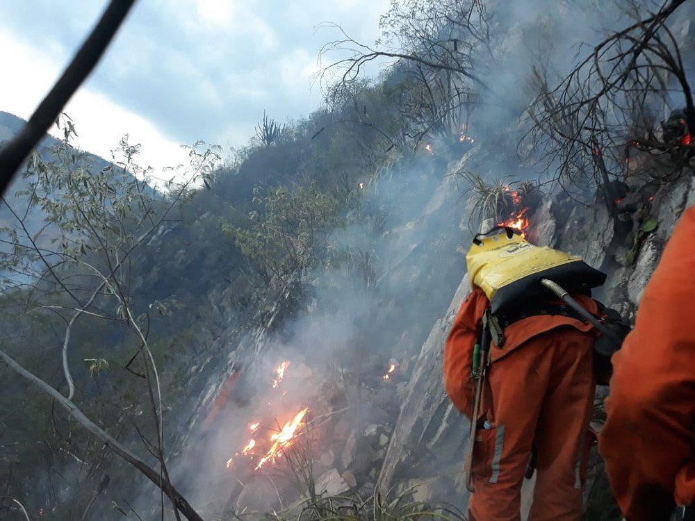 Incêndio de grandes proporções atinge área de vegetação na Chapada Diamantina