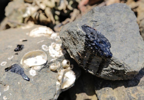 Óleo chega a foz do Joanes, rio que abastece a Região Metropolitana de Salvador