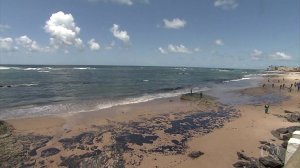  Manchas de óleo atingem praias mais visitadas da Bahia