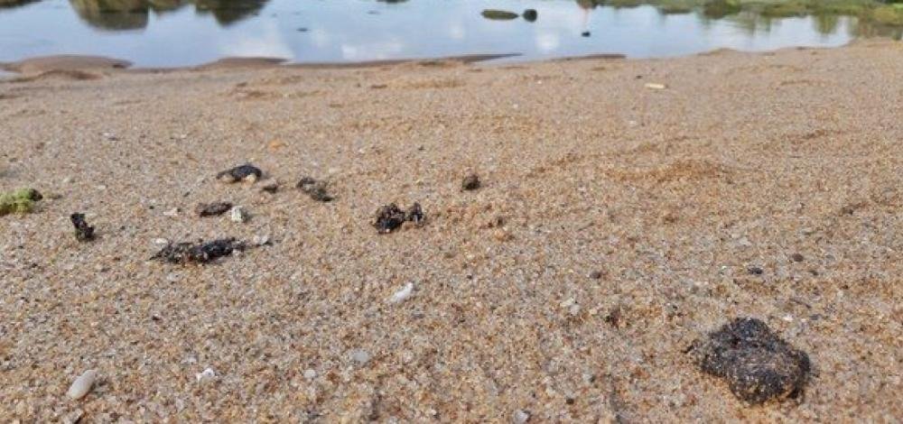Manchas de óleo chegam a Maraú, no sul da Bahia
