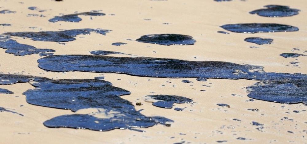 Grupo de pescadores busca solução para prejuízos com manchas de petróleo: 'Caso de calamidade pública'
