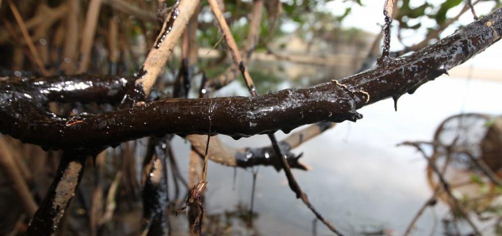 Grupo marca protesto em Salvador para cobrar ações efetivas contra manchas de óleo