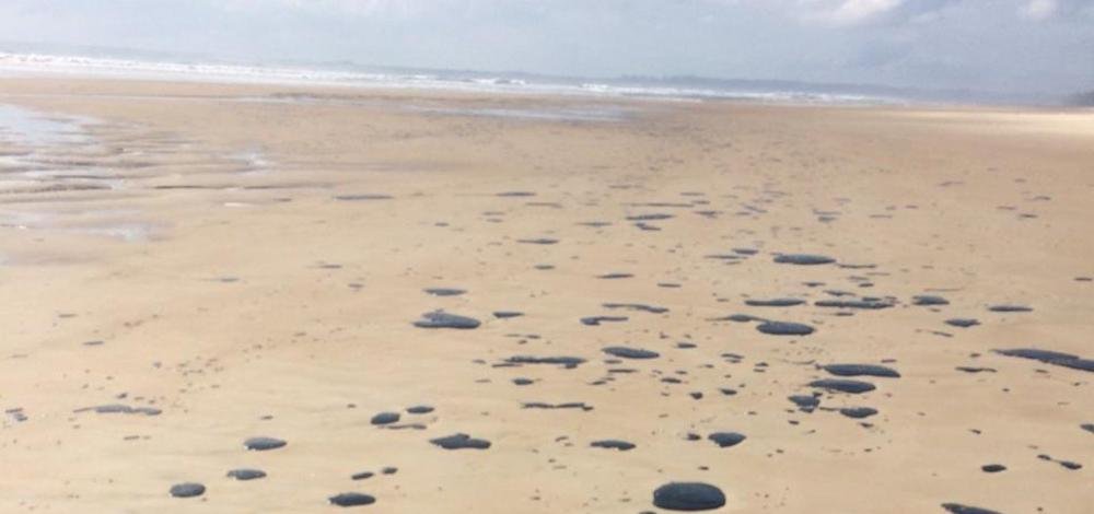 Turismo terá R$ 200 mi para reparar perdas com óleo, diz Bolsonaro