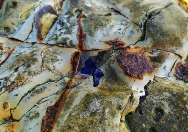 Fragmentos de óleo são recolhidos na região de Abrolhos, diz Marinha