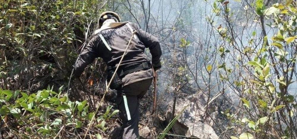 Após quase uma semana, incêndios na Chapada Diamantina ainda não foram debelados