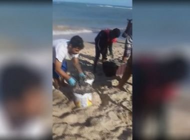 Porto Seguro: MPF pede que prefeitura inclua Marinha e Ibama em ação contra óleo