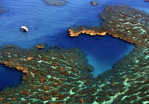 Após manchas de óleo, Parque Nacional de Abrolhos é reaberto para visitação